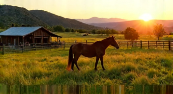 Die besten 8 Tipps bei „Dutton Ranch“